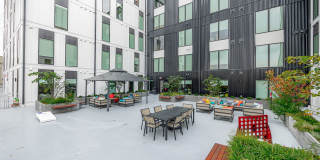 Vera on Broad Gallery 25