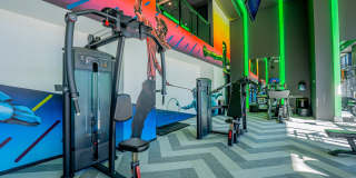 The Chelsea Gallery 15