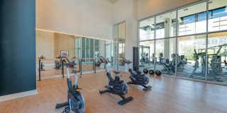 Essence Essence Gallery 21