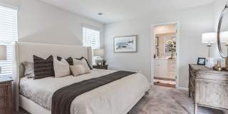 L'Attitude 34 Dillard Creek Gallery 11