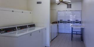 Castlewood Gallery 49