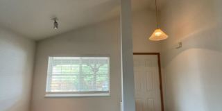 Centrally Located - 3 Bed - 2 Bath - Fenced Yard Gallery 21