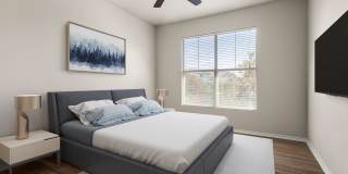 Elan Gallery 10
