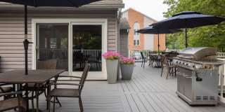 The Meadows Gallery 8