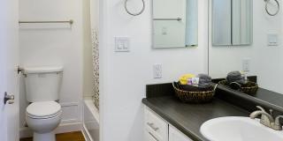 Monte Vista Apartments Gallery 15