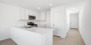 4909 WINECUP CV Gallery 1