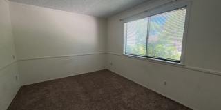 Beautiful Lakewood Village Condo Gallery 4