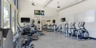 The Phoenix Sacramento Gallery 4