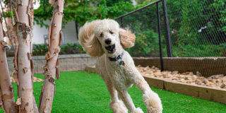 Greenside Gallery 26