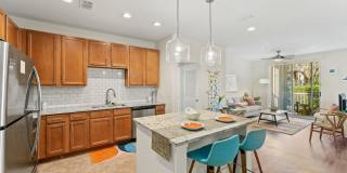 Carlyle at Bartram Park Gallery 3