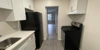548a Gallery 3