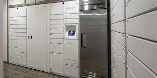 Lilia Waikiki Gallery 27