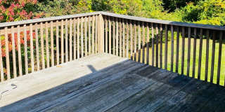 60 Hollis Street Gallery 10