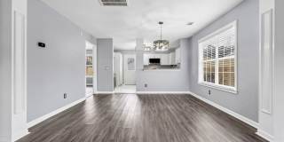 BEAUTIFULLY RENOVATED TWO BEDROOM IN CHAPIN Gallery 8