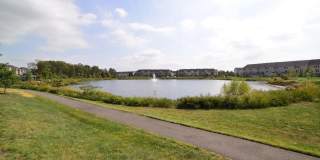 42463 PINE FOREST Drive Gallery 35