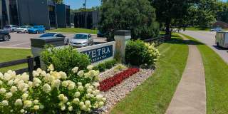 Vetra Lexington Gallery 26