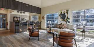 The Clara The Clara Gallery 18