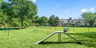 Cortland Independence Gallery 28