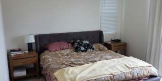 Beautiful home for rent in Atascadero Gallery 10