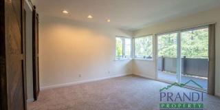 137 Pixley Avenue Gallery 11