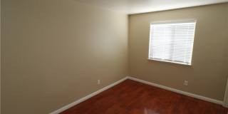 741 Spotted Eagle Street Gallery 19