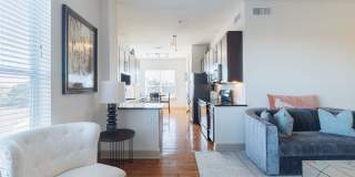 Domain at Kirby Gallery 18