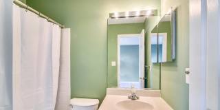 13 JANWALL Court Gallery 21