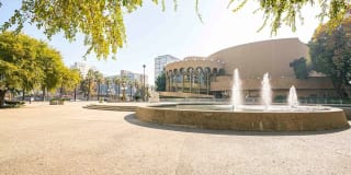 Sofi Berryessa Gallery 28