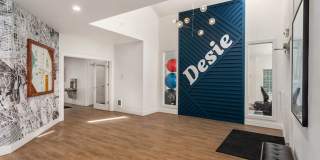 Desie Gallery 4