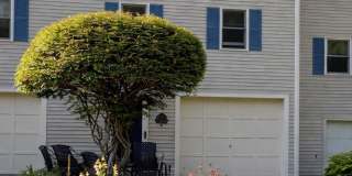 51 Ford's Landing Drive Gallery 1