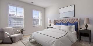 Poplin Trace Gallery 3