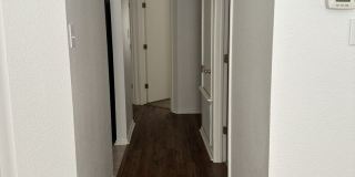 5601 Timber Star Gallery 5