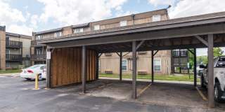 The Falls Gallery 41