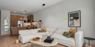 1235 U North Ashland Ave. Gallery 2