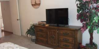 49225 Eisenhower Drive Gallery 13