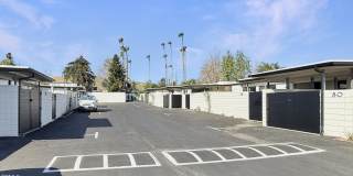 61 Redwood Avenue Gallery 41