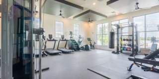 Altera Jacaranda Gallery 6