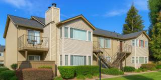 Carmel Woods Gallery 12