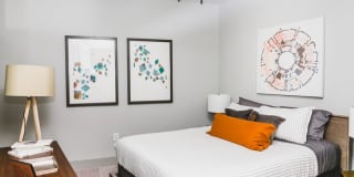 Prominence Gallery 6
