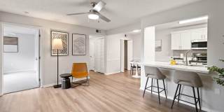 The Avenue Gallery 3