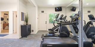 Overlander Gallery 21