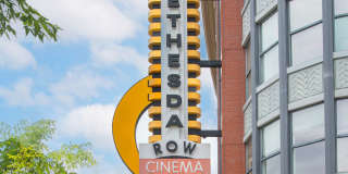 Ellis Bethesda Gallery 19