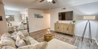 Juniper Springs Gallery 35