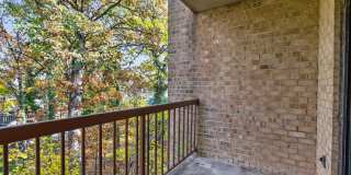 The Cloisters Gallery 46