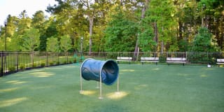 Gabrielle Run Gallery 28