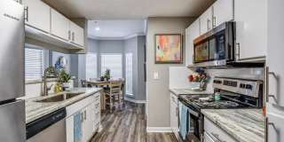 Derby at Steeplechase Gallery 2