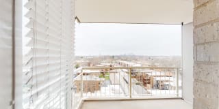 Dorchester Gallery 19