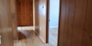 206 Columbia Ave, Chapin SC 29036 Gallery 27