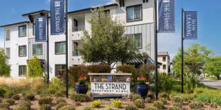 The Strand Gallery 85