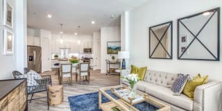 255 Assay Luxury Apartments Gallery 5